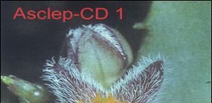 CD1 Asclep