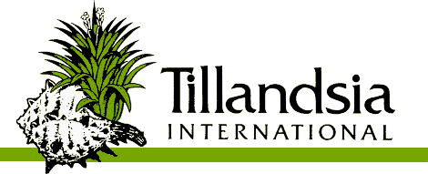 Tillandsia International - Your source for Bromeliad - Tillandsias - Airplants.