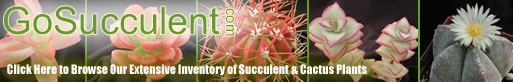 gosucculent.com