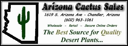 Arizona Cactus Sales