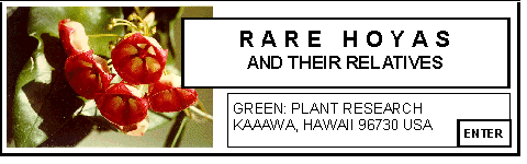 Rare Hoyas